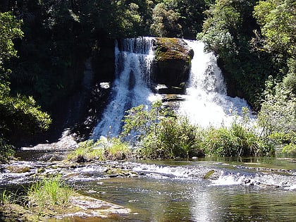 aniwaniwa falls park narodowy te urewera