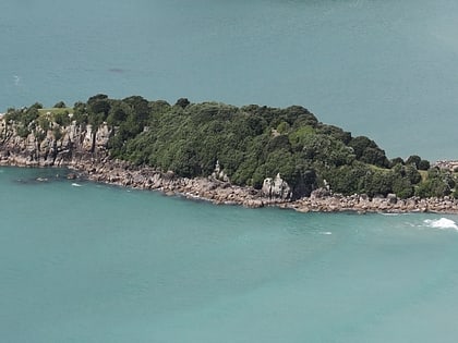 Moturiki Island