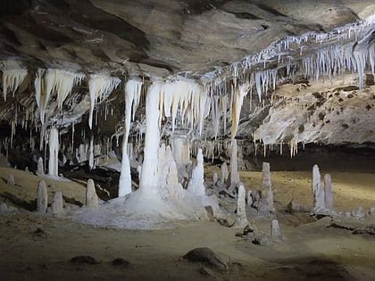 metro cave te ananui cave park narodowy paparoa