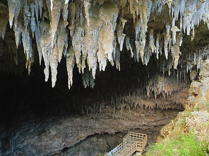 rawhiti cave