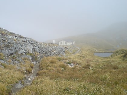 mackinnon pass fiordland nationalpark