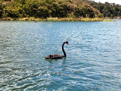 lac rotomahana