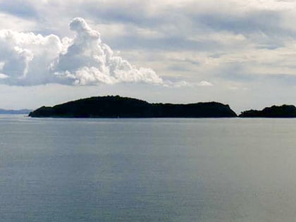 motukawao islands coromandel