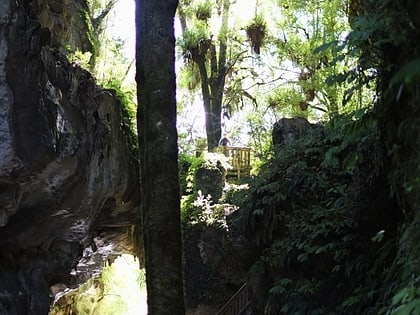 mangapohue natural bridge waitomo