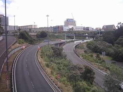 Grafton Gully