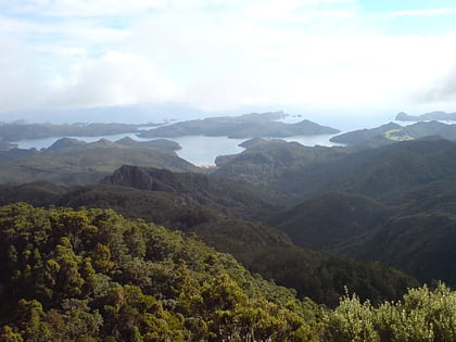 aotea conservation park isla gran barrera