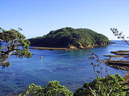 Cape Rodney-Okakari Point Marine Reserve