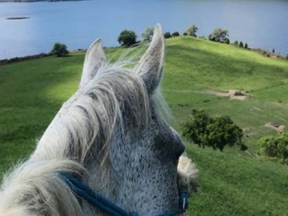horse trekking lake okareka rotorua