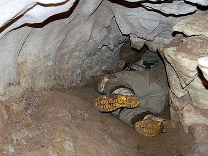 honeycomb hill cave parc national de kahurangi