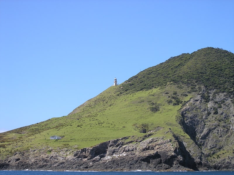 Cape Brett