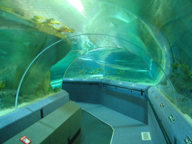national aquarium of new zealand napier