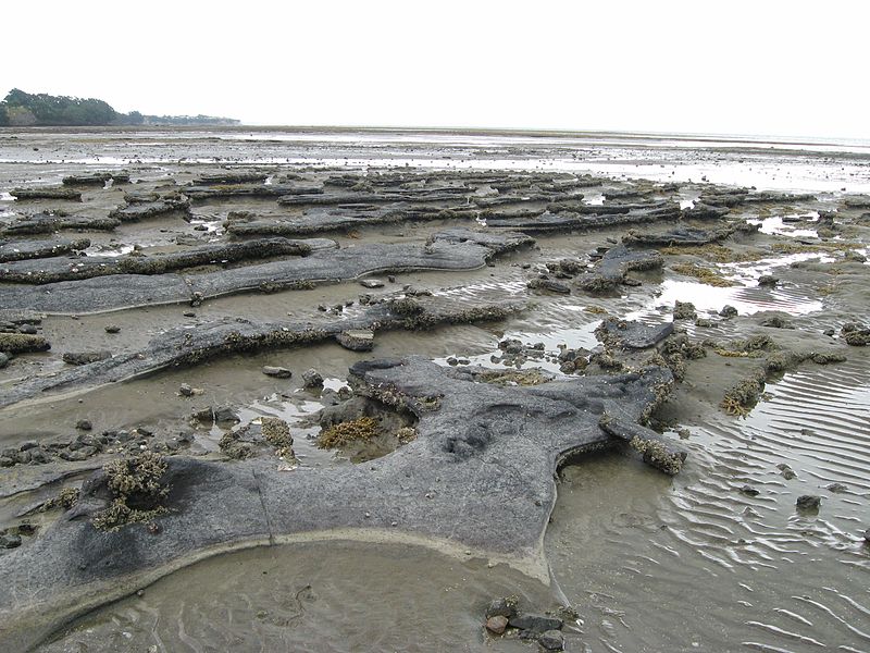 Ōmana Regional Park