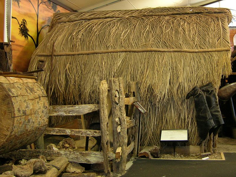 Kauri Museum