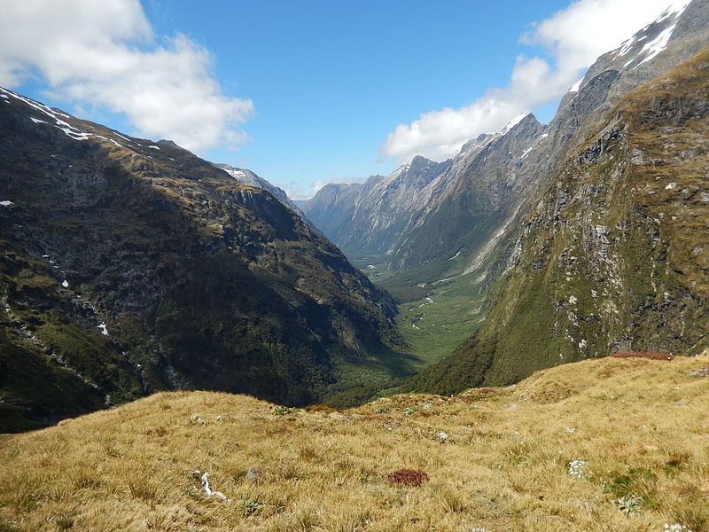 Fiordland