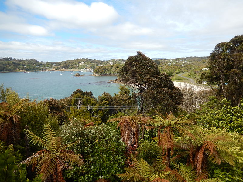 Stewart Island