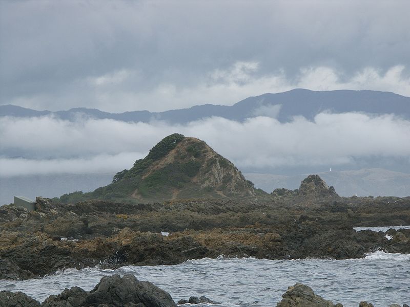 Rezerwat Morski Taputeranga