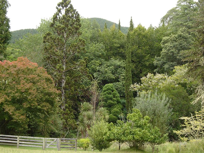 Eastwoodhill Arboretum
