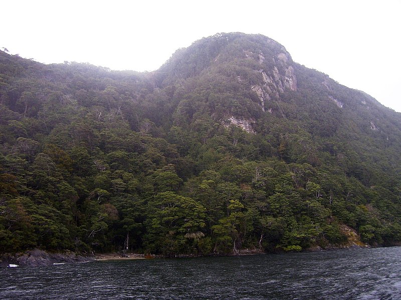 Pomona Island