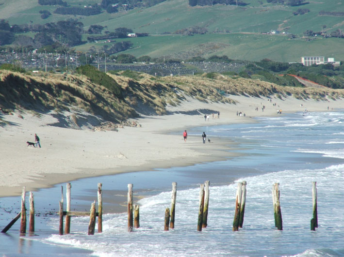 Ocean Beach