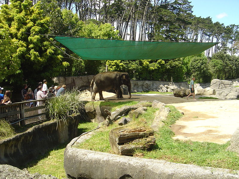 Zoológico de Auckland