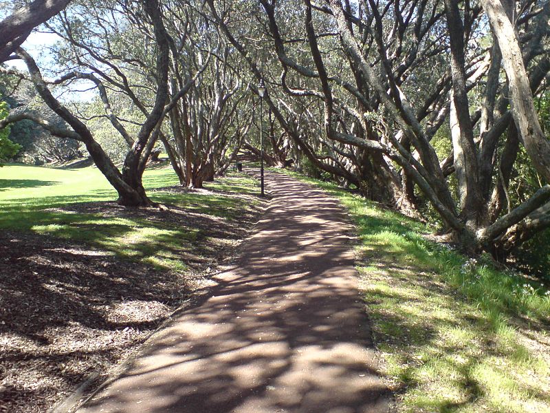 Auckland Domain