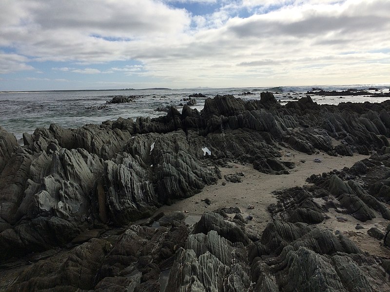 Chatham Islands