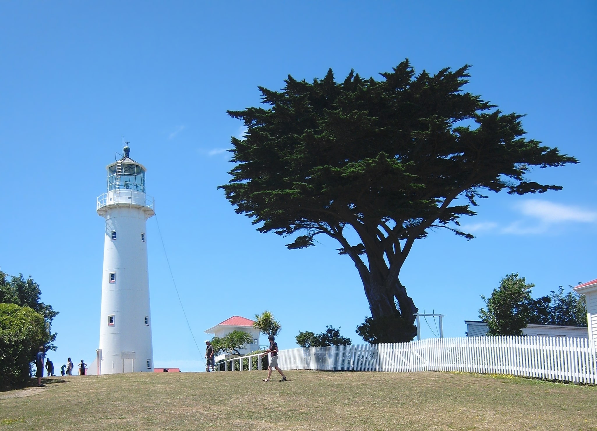 Tiritiri Matangi Island, New Zealand