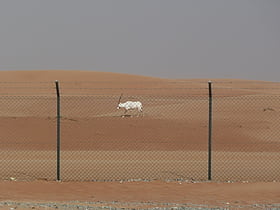 Wildschutzgebiet der Arabischen Oryx