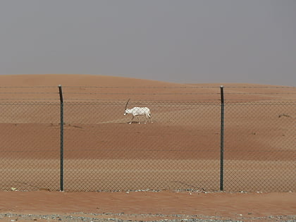 Sanctuaire de l'oryx arabe