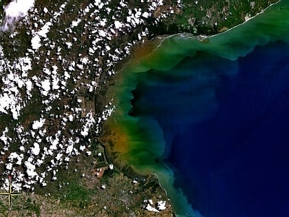 Gulf of Panama mangroves