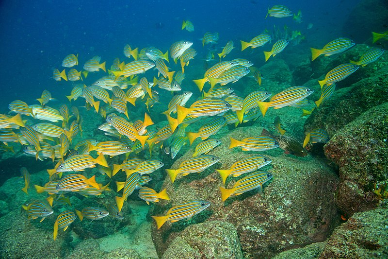 Coiba National Marine Park