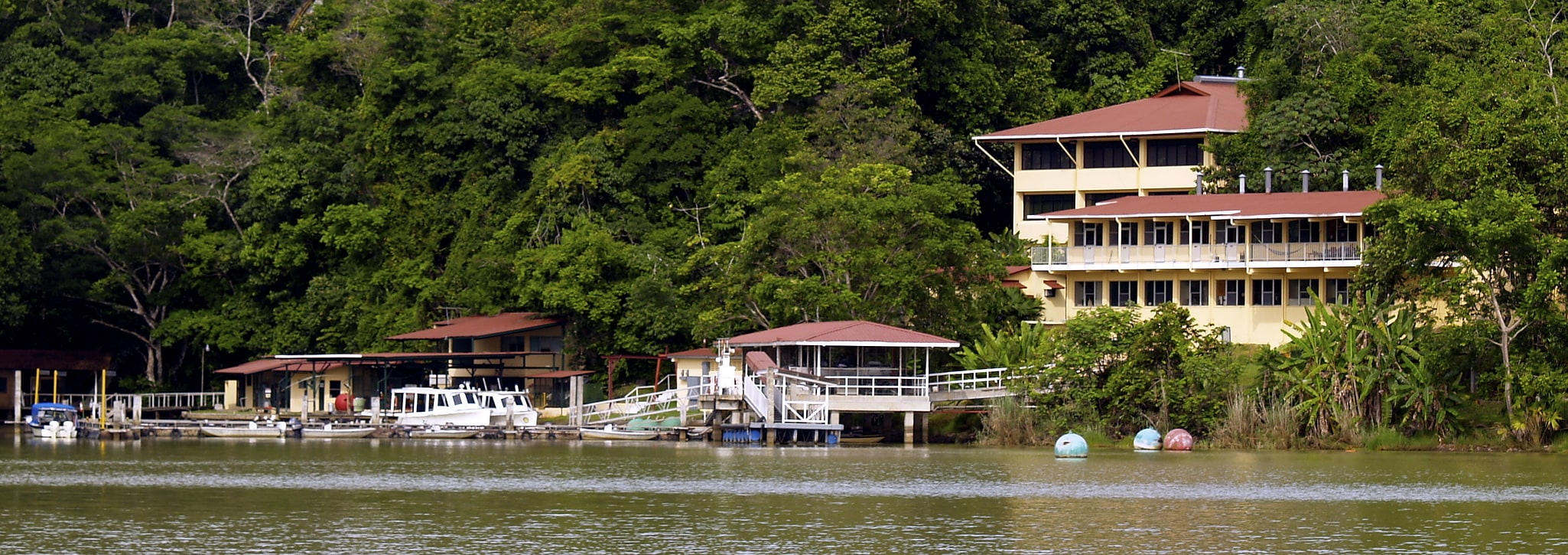 Barro Colorado, Panamá