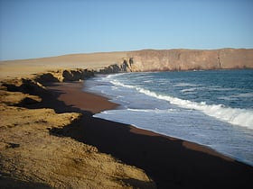 reserve nationale de paracas
