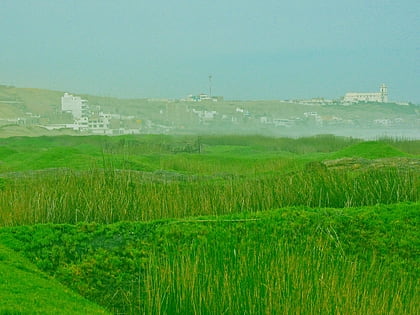 Swamps of Huanchaco
