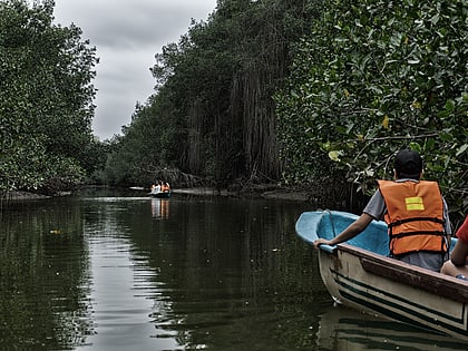 manglares de tumbes national sanctuary