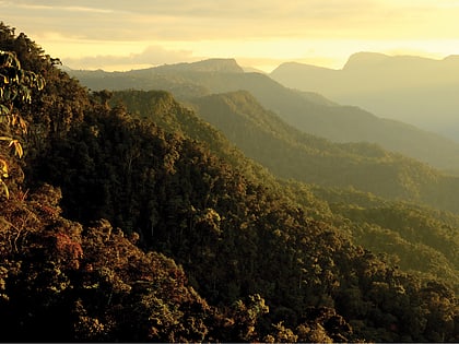 Ucayali moist forests