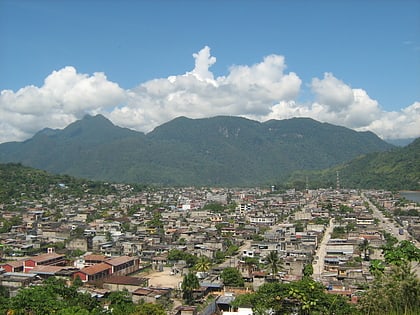 parque nacional tingo maria