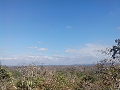 Bosque seco de Tumbes-Piura
