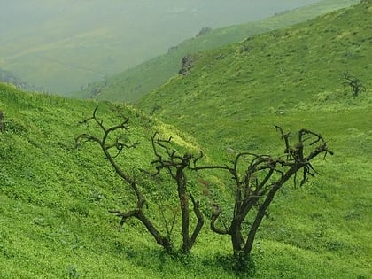 Lomas de Lachay National Reserve