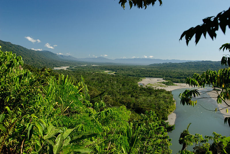 Parc national de Manú