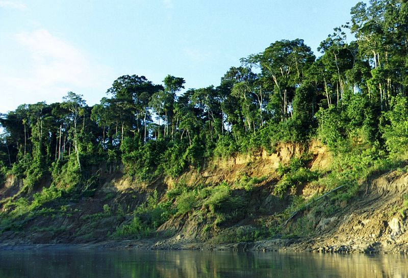 Southwest Amazon moist forests