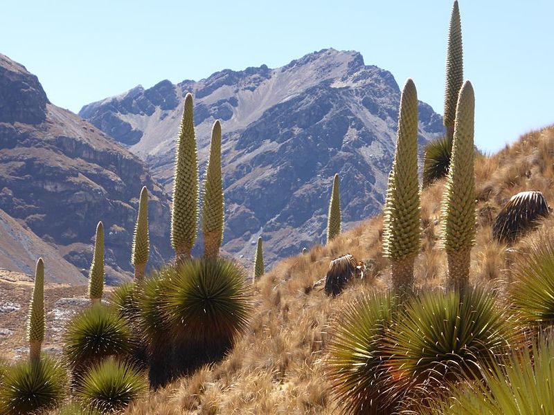 Park Narodowy Huascarán