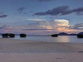 wyspa bougainvillea