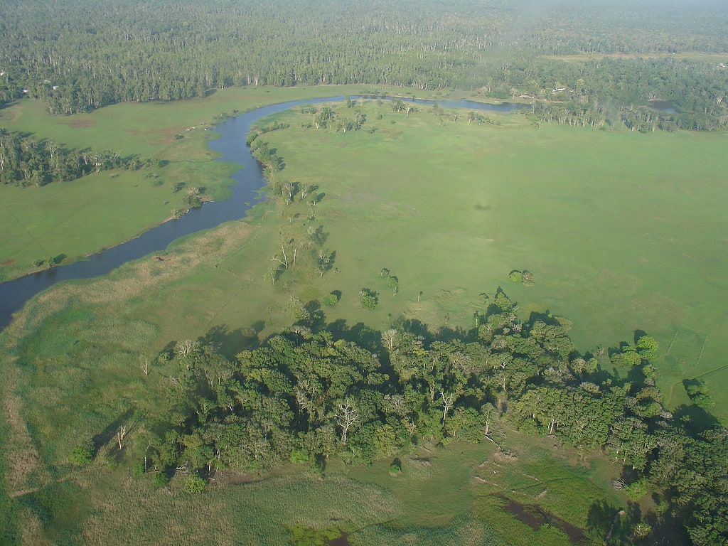 Tonda Wildlife Management Area, Papua-Neuguinea