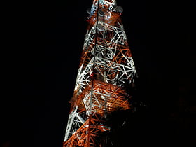 Millennium Transmitter