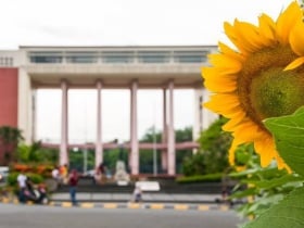 UP Sunken Garden