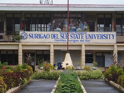north eastern mindanao state university tandag