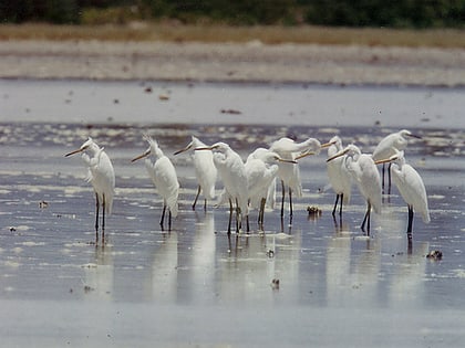 olango island