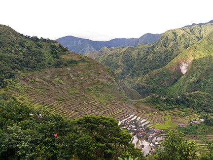 rizieres en terrasses des cordilleres des philippines