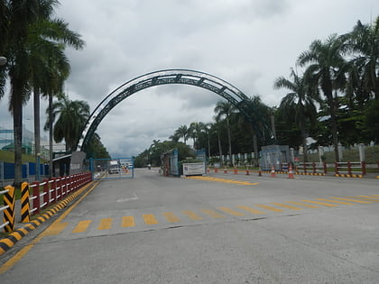 batino calamba